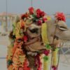 camel with flower decorations