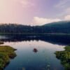 body of water near green trees during daytime