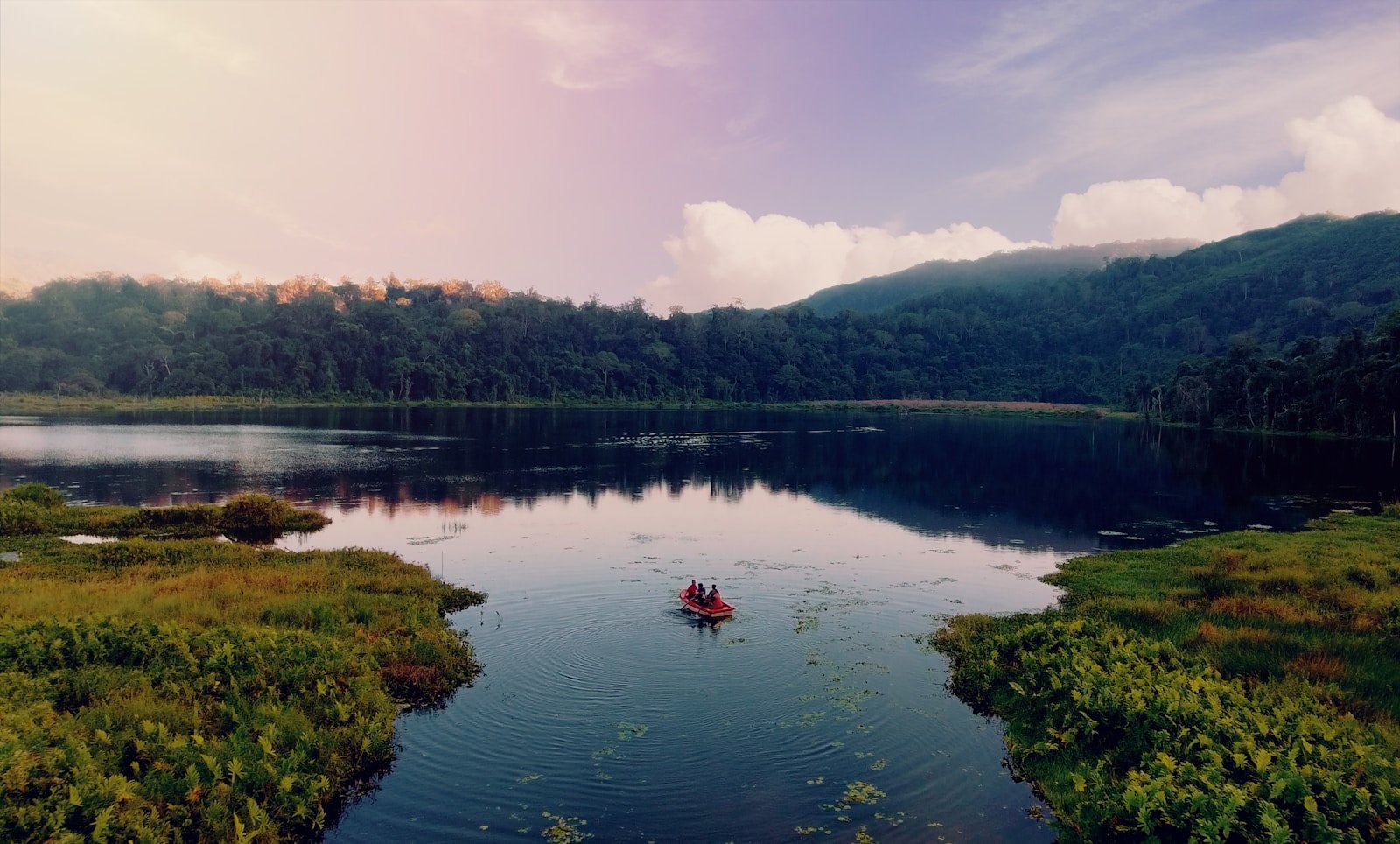 body of water near green trees during daytime