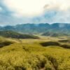 a grassy field with mountains in the background