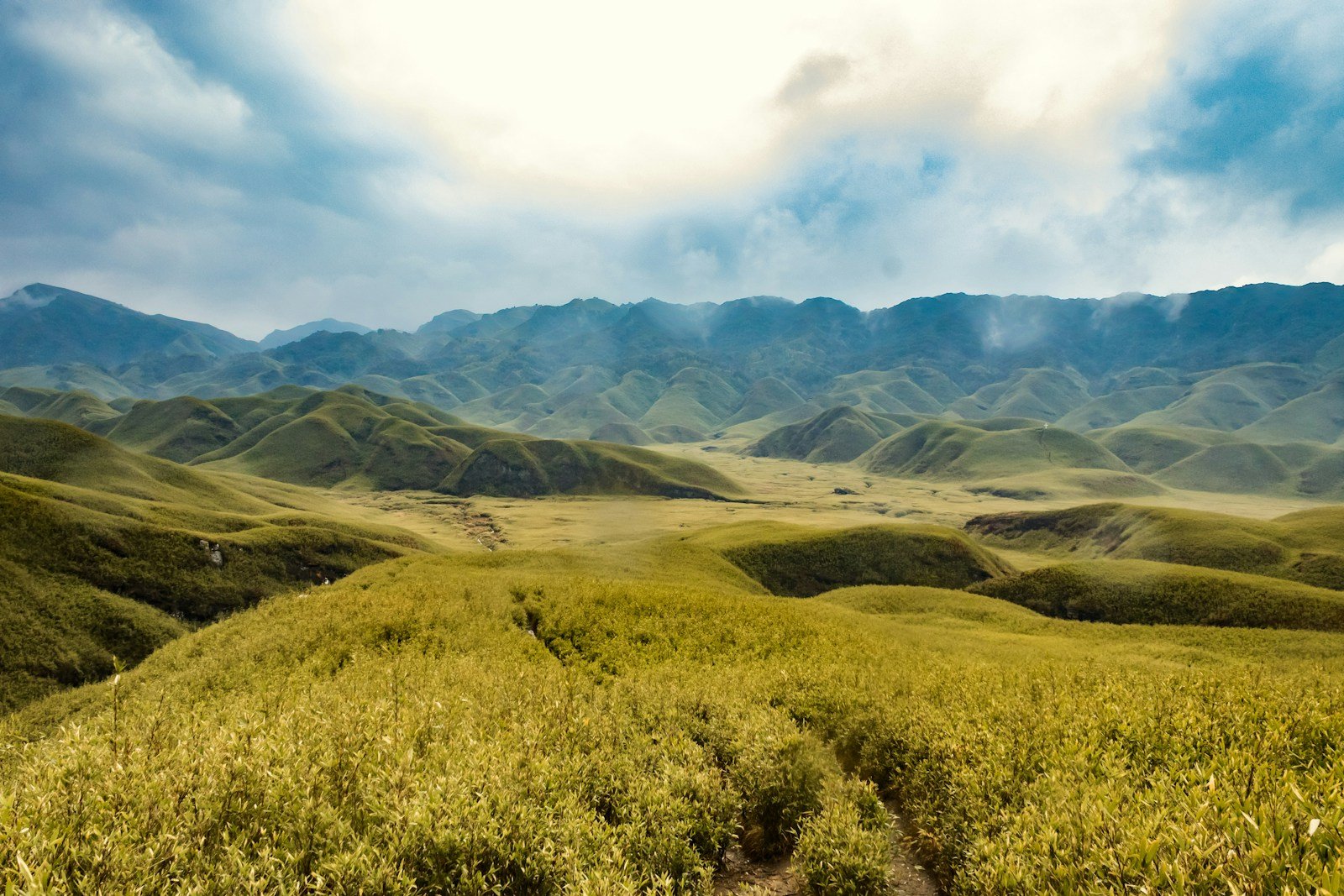 a grassy field with mountains in the background